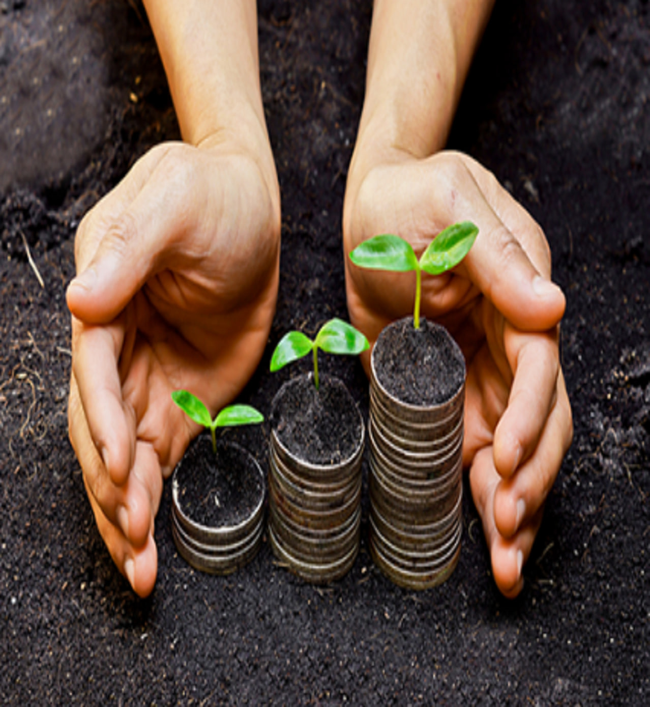 Hands protecting growing plants rooted in stacked coins, representing economic responsibility