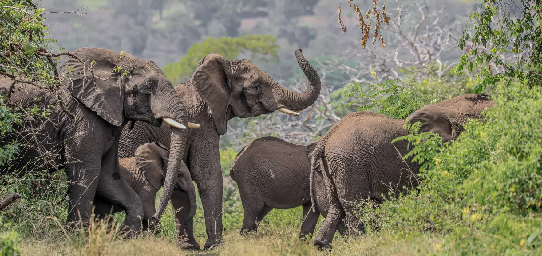 Travel expert planning an Ethiopian itinerary